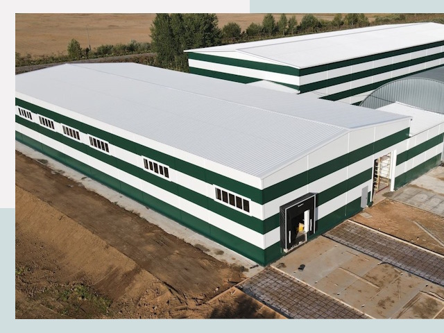 Строительство овощехранилищ в Коломне