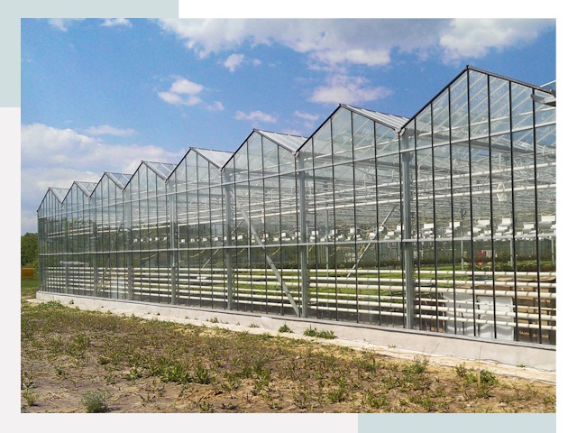 Строительство теплиц в Коломна от 608 руб. за м²