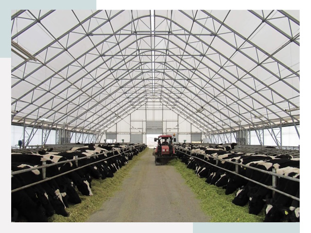 Тентовые коровники в Коломне от 608 руб. - Надежно и доступно