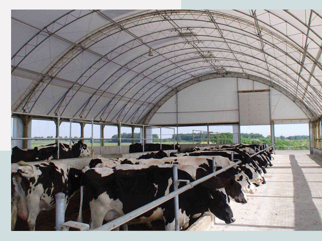 Тентовые коровники в Коломне